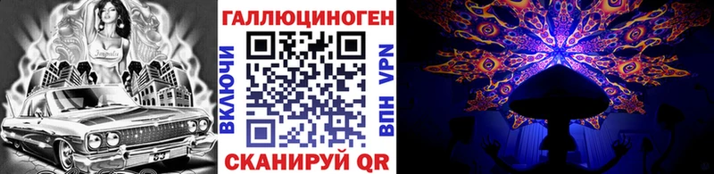 купить наркотик  Чудово  Галлюциногенные грибы MAGIC MUSHROOMS 